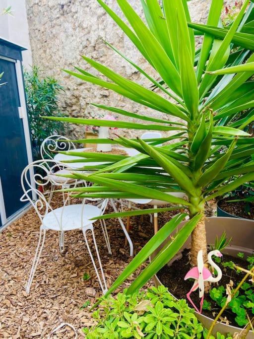 Havre De Paix Avec Jardin Et Clim En Centre Ville De Sète Exterior foto