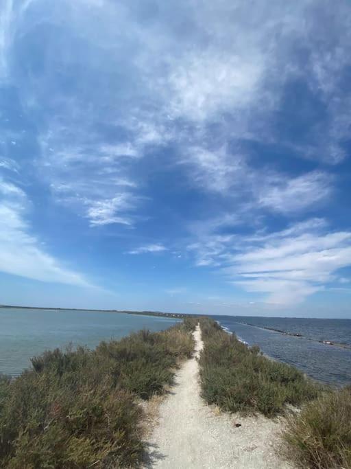 Havre De Paix Avec Jardin Et Clim En Centre Ville De Sète Exterior foto